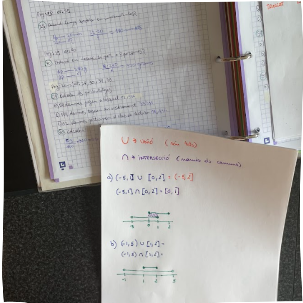 Dificultats en les operacions, sumes, restes, problemas en la interpretació de problemes, no entenen els problemes.

Dificultats en l'estudi, no saben com estudiar, problemes de concentració.